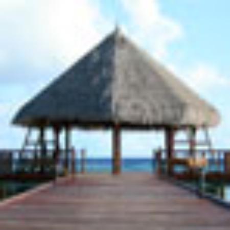 Bar Caffetteria Iris